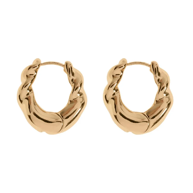 Drop Earrings for Valentine's Day -Iris - Gold Hoop Earrings